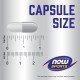 ZMA 800mg (Zinc, Magneziu si B-6) - 90 Capsule vegetale